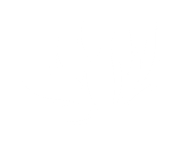 Denim & Magnolias logo flower