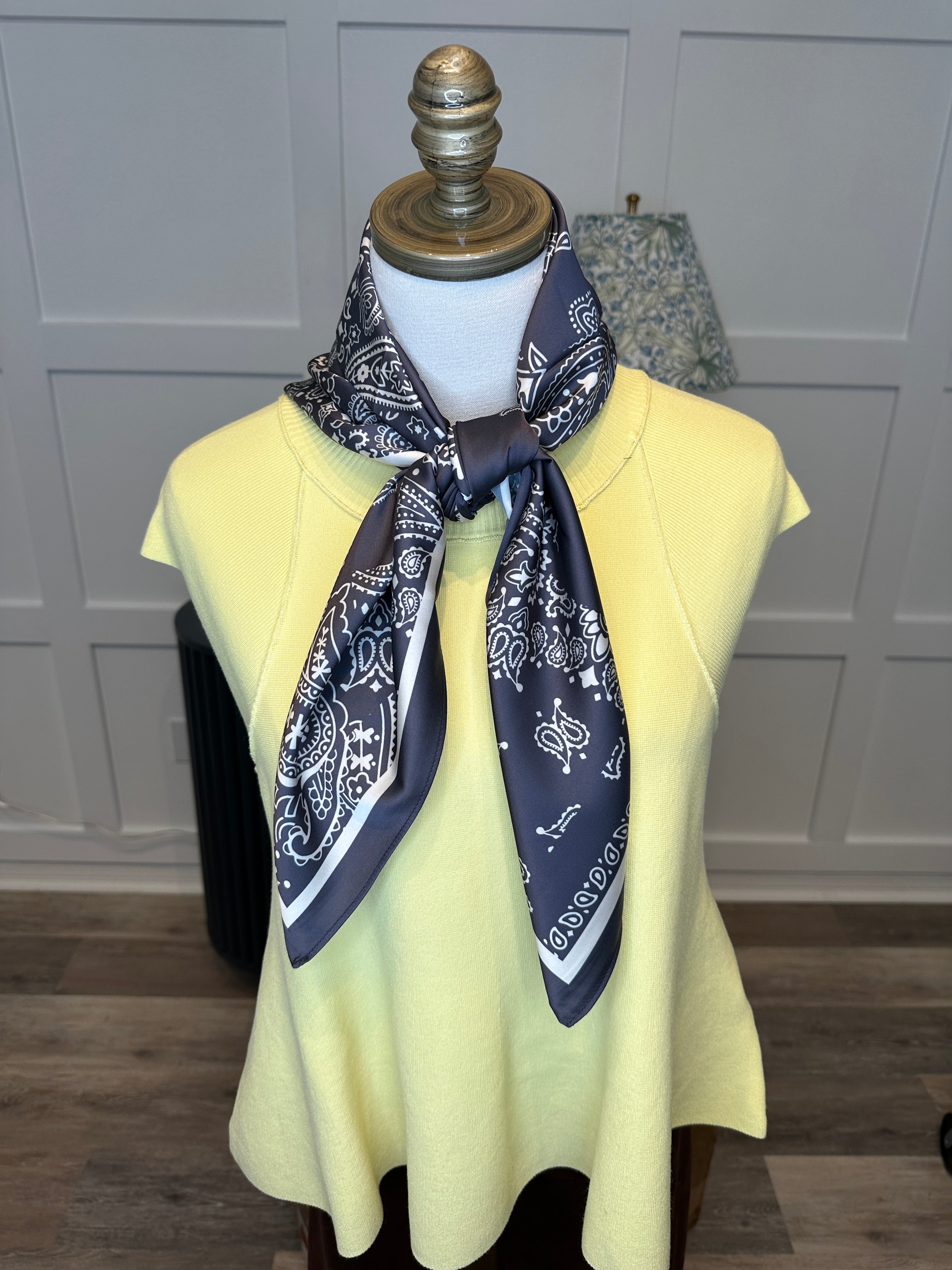 Charcoal Paisley Creek Wild Rag