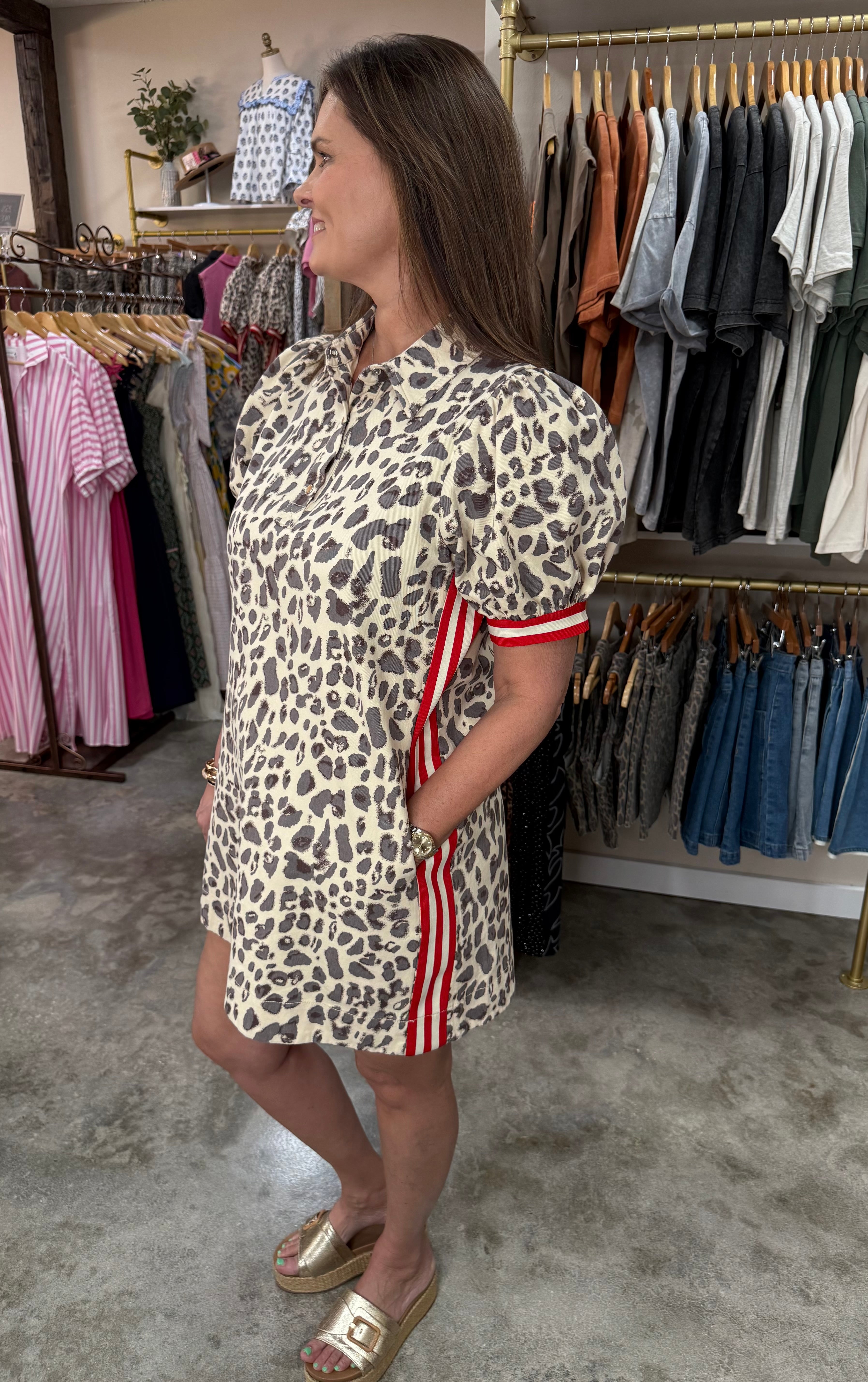 Scarlet Streak Leopard Dress