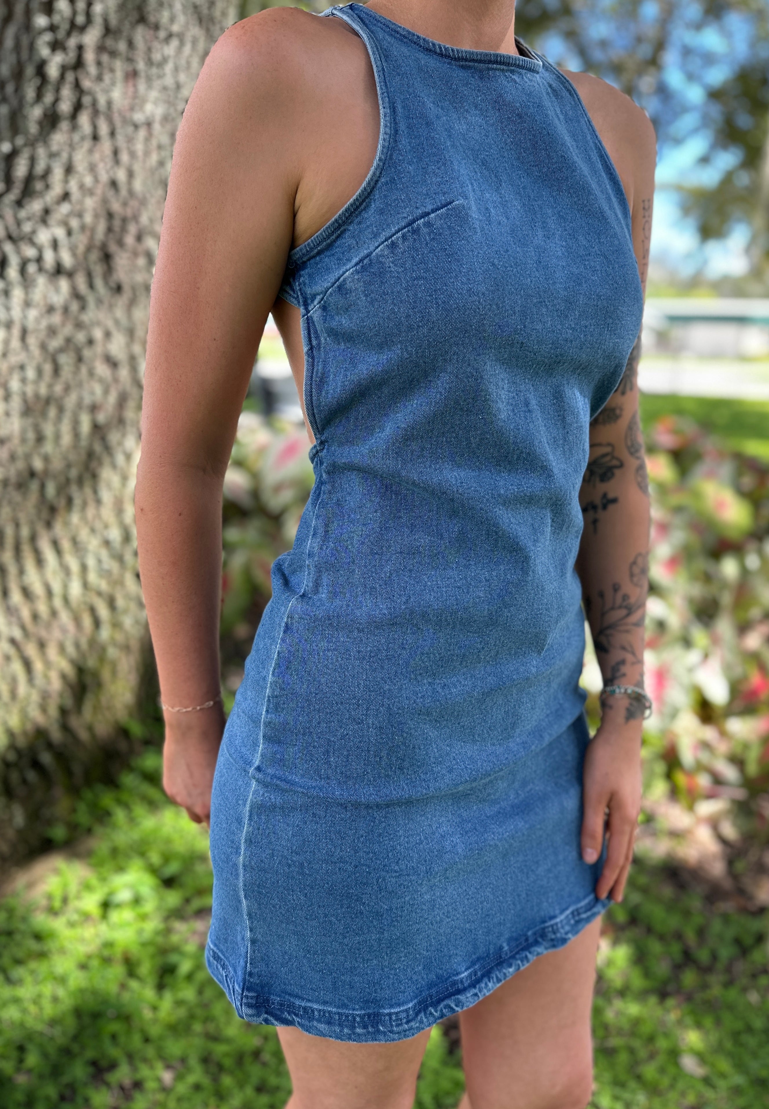 Denim Darlin Dress